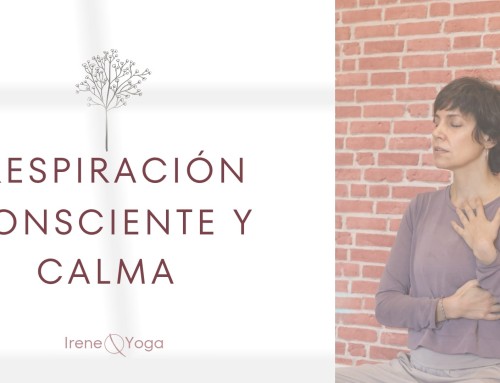 Taller: Respiración consciente y calma